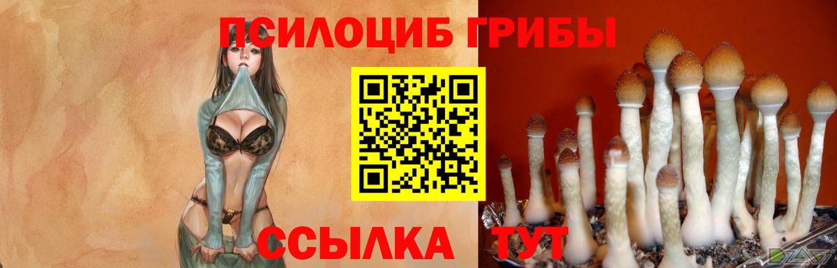 Галлюциногенные грибы ЛСД Ейск